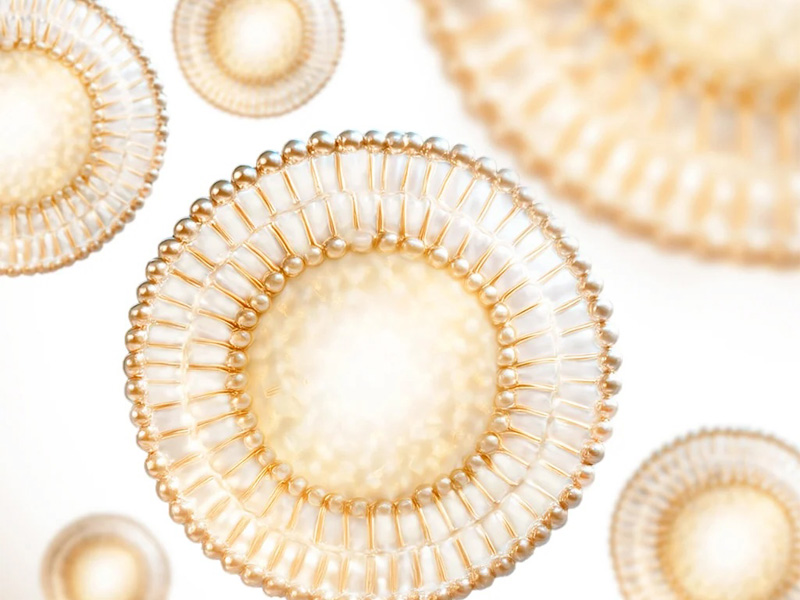 What Makes Elevai Renew™ Different From An Ordinary Hair Serum? 2 exosomes stem cells